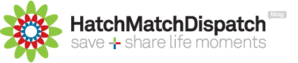 HatchMatchDispatch - Blog